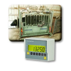 One (1) Chute Weigh 5K (5,000 Lb Capacity) With 20' Cable W/5 Pin Connector