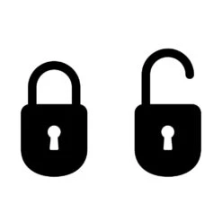 WatchDog Weather Station Key For Viper 4 And Viper 4+