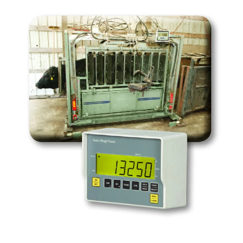 One (1) Chute Weigh 2.5K (2,500 Lb. Capacity) W/20' Cable W/5 Pin Connector 1 One (1) Chute Weigh 2.5K (2,500 Lb. Capacity) W/20' Cable W/5 Pin Connector