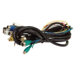 22 Pin Wiring Harness