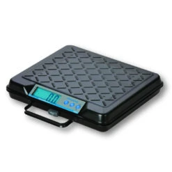 Weigh-Tronix GP250 Bench Scale, 110 Kg X 0.2 Kg/250 Lb X 0.5 Lb